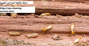 [صورة: %D8%B4%D8%B1%D9%83%D8%A9-%D9%85%D9%83%D8...6.jpg.webp]