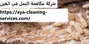 شركة مكافحة النمل في العين