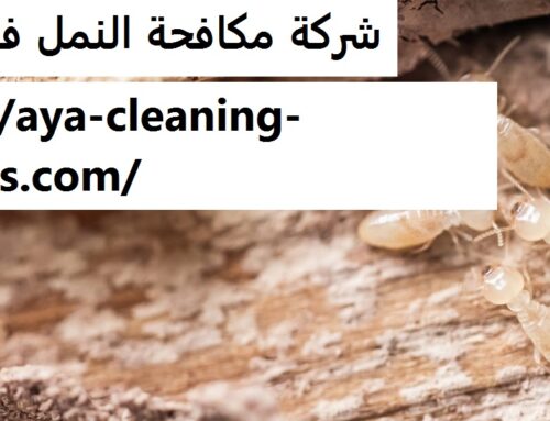 شركة مكافحة النمل في العين |0568199078| ابادة فورية