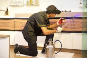 شركة مكافحة الرمة في عجمان