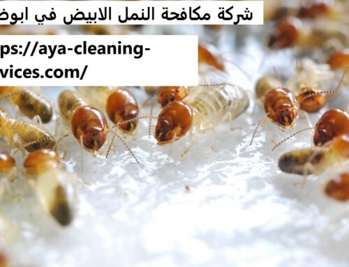 شركة مكافحة النمل الابيض في ابوظبي |0568199078 |مكافحة النمل
