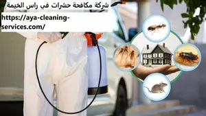 شركة مكافحة حشرات في راس الخيمة