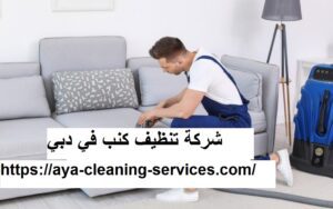 شركة تنظيف كنب في دبي