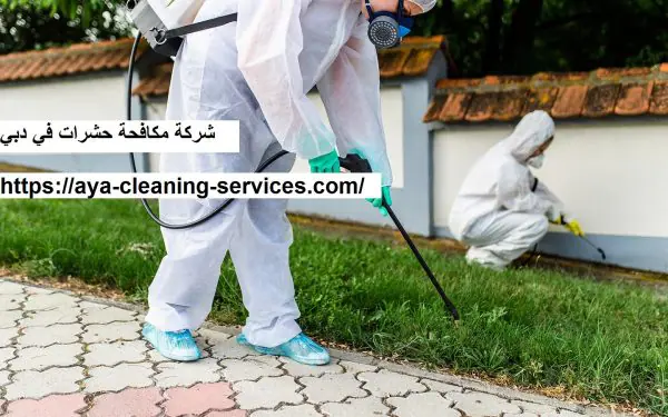 شركة مكافحة حشرات في دبي