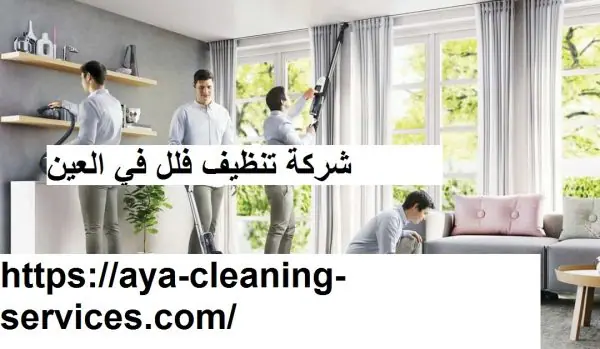 شركة تنظيف فلل في العين
