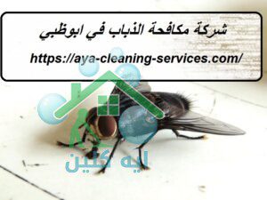 شركة مكافحة الذباب في ابوظبي