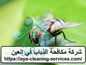 شركة مكافحة الذباب في العين