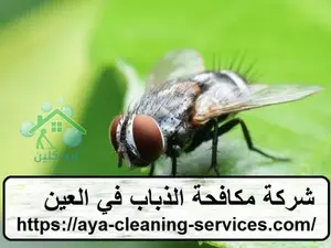 [صورة: %D8%B4%D8%B1%D9%83%D8%A9-%D9%85%D9%83%D8...5.jpg.webp]