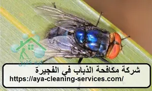 [صورة: %D8%B4%D8%B1%D9%83%D8%A9-%D9%85%D9%83%D8...0.jpg.webp]