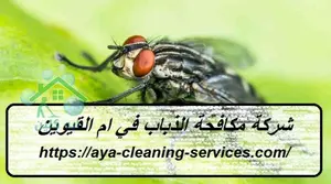 [صورة: %D8%B4%D8%B1%D9%83%D8%A9-%D9%85%D9%83%D8...7.jpg.webp]