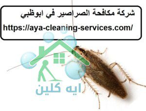 شركة مكافحة الصراصير في ابوظبي