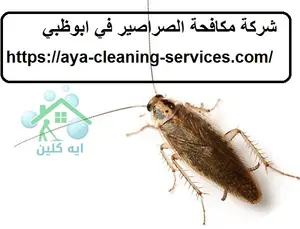 [صورة: %D8%B4%D8%B1%D9%83%D8%A9-%D9%85%D9%83%D8...9.jpg.webp]