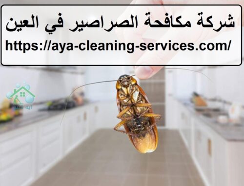 شركة مكافحة الصراصير في العين |0568199078| ابادة نهائية