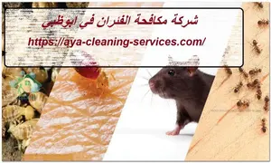 [صورة: %D8%B4%D8%B1%D9%83%D8%A9-%D9%85%D9%83%D8...0.jpg.webp]