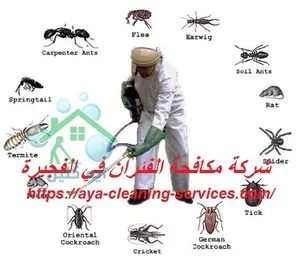 [صورة: %D8%B4%D8%B1%D9%83%D8%A9-%D9%85%D9%83%D8...0.jpg.webp]