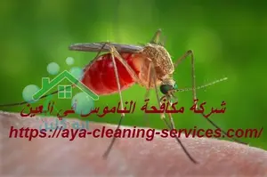 [صورة: %D8%B4%D8%B1%D9%83%D8%A9-%D9%85%D9%83%D8...9.jpg.webp]