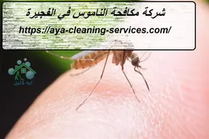 [صورة: %D8%B4%D8%B1%D9%83%D8%A9-%D9%85%D9%83%D8...0.jpg.webp]