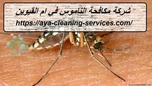 [صورة: %D8%B4%D8%B1%D9%83%D8%A9-%D9%85%D9%83%D8...9.jpg.webp]
