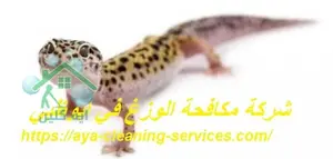 [صورة: %D8%B4%D8%B1%D9%83%D8%A9-%D9%85%D9%83%D8...3.jpg.webp]