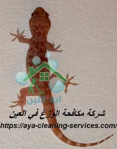 [صورة: %D8%B4%D8%B1%D9%83%D8%A9-%D9%85%D9%83%D8...0.jpg.webp]
