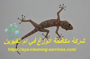[صورة: %D8%B4%D8%B1%D9%83%D8%A9-%D9%85%D9%83%D8...5.jpg.webp]