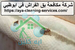 شركة مكافحة بق الفراش في ابوظبي