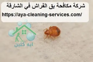 [صورة: %D8%B4%D8%B1%D9%83%D8%A9-%D9%85%D9%83%D8...0.jpg.webp]