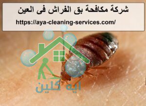 شركة مكافحة بق الفراش في العين