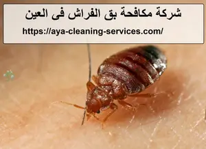 [صورة: %D8%B4%D8%B1%D9%83%D8%A9-%D9%85%D9%83%D8....jpeg.webp]
