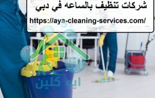 شركات تنظيف بالساعه في دبي