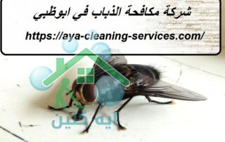 شركة مكافحة الذباب في ابوظبي