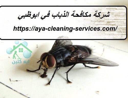 شركة مكافحة الذباب في ابوظبي |0568199078| رش حشرات