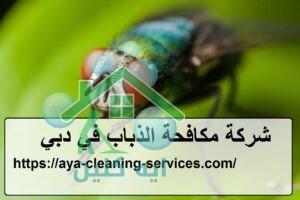 شركة مكافحة الذباب في دبي
