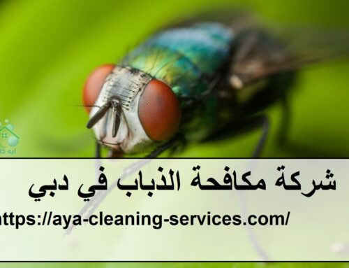 شركة مكافحة الذباب في دبي |0568199078| رش الحشرات