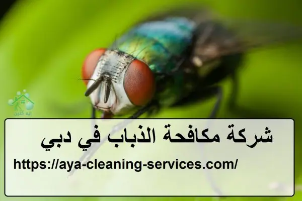 شركة مكافحة الذباب في دبي