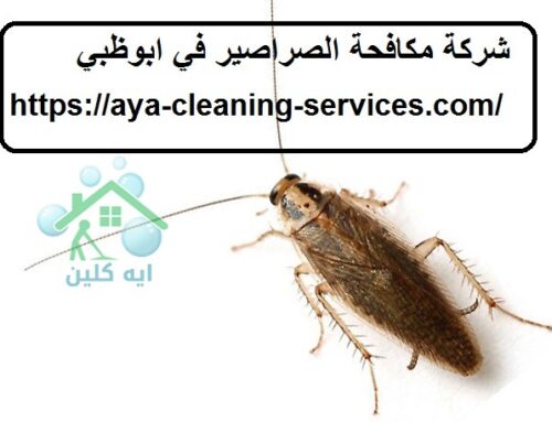 شركة مكافحة الصراصير في ابوظبي |0568199078| رش حشرات