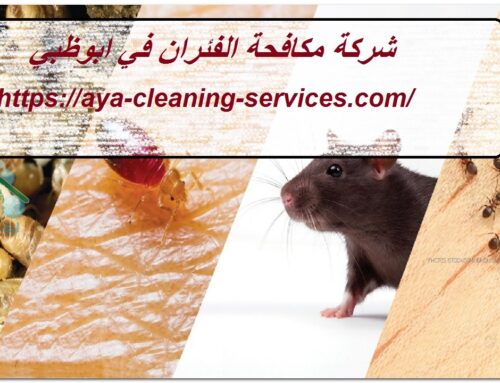 شركة مكافحة الفئران في ابوظبي |0568199078| ابادة فورية
