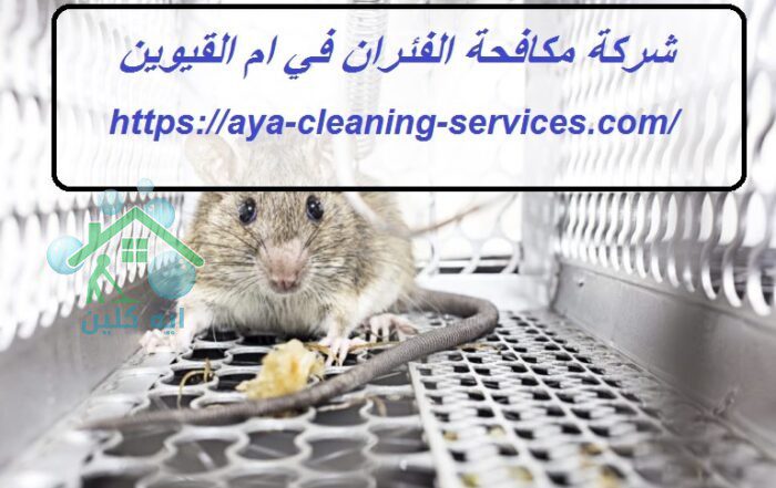 شركة مكافحة الفئران في ام القيوين