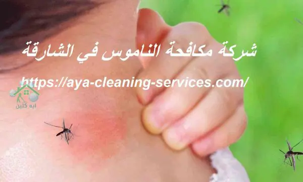 شركة مكافحة الناموس في الشارقة