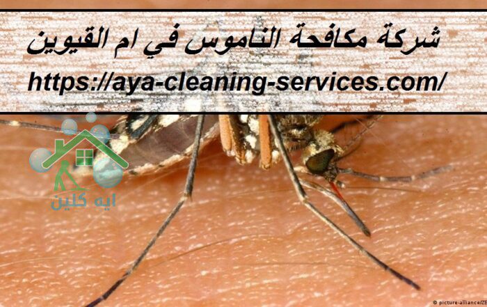 شركة مكافحة الناموس في ام القيوين