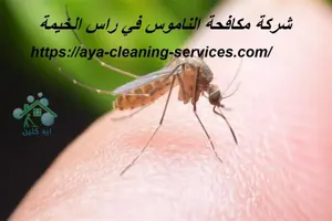 شركة مكافحة الناموس في راس الخيمة