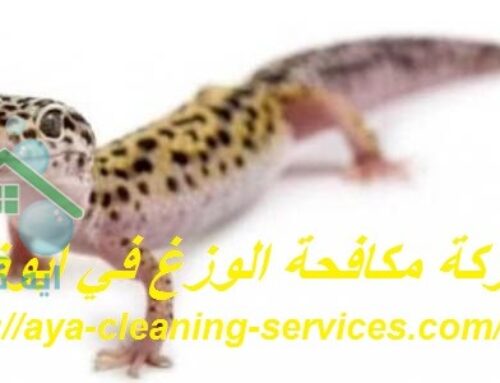 شركة مكافحة الوزغ في ابوظبي |0568199078| ابادة فورية