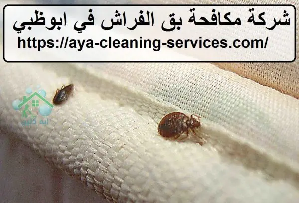 شركة مكافحة بق الفراش في ابوظبي