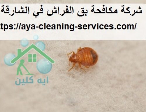 شركة مكافحة بق الفراش في الشارقة |0568199078| ابادة تامة