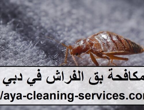 شركة مكافحة بق الفراش في دبي |0568199078| رش الحشرات