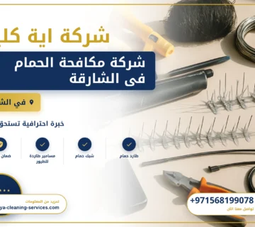 صورة شركة مكافحة الحمام فى الشارقة |0568199078| تركيب طارد حمام