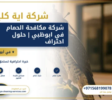 صورة شركة مكافحة الحمام في ابوظبي | حلول احترافية وآمنة من ايه كلين