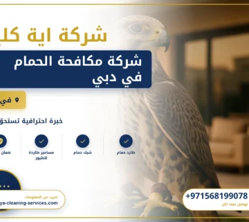 صورة شركة مكافحة الحمام في دبي