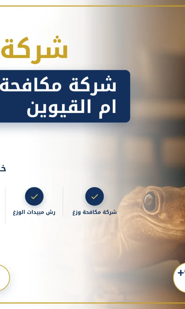 صورة شركة مكافحة الوزغ في ام القيوين |0568199078| ابادة فورية