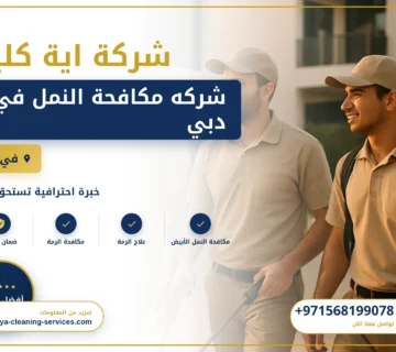 صورة شركه مكافحة النمل في دبي